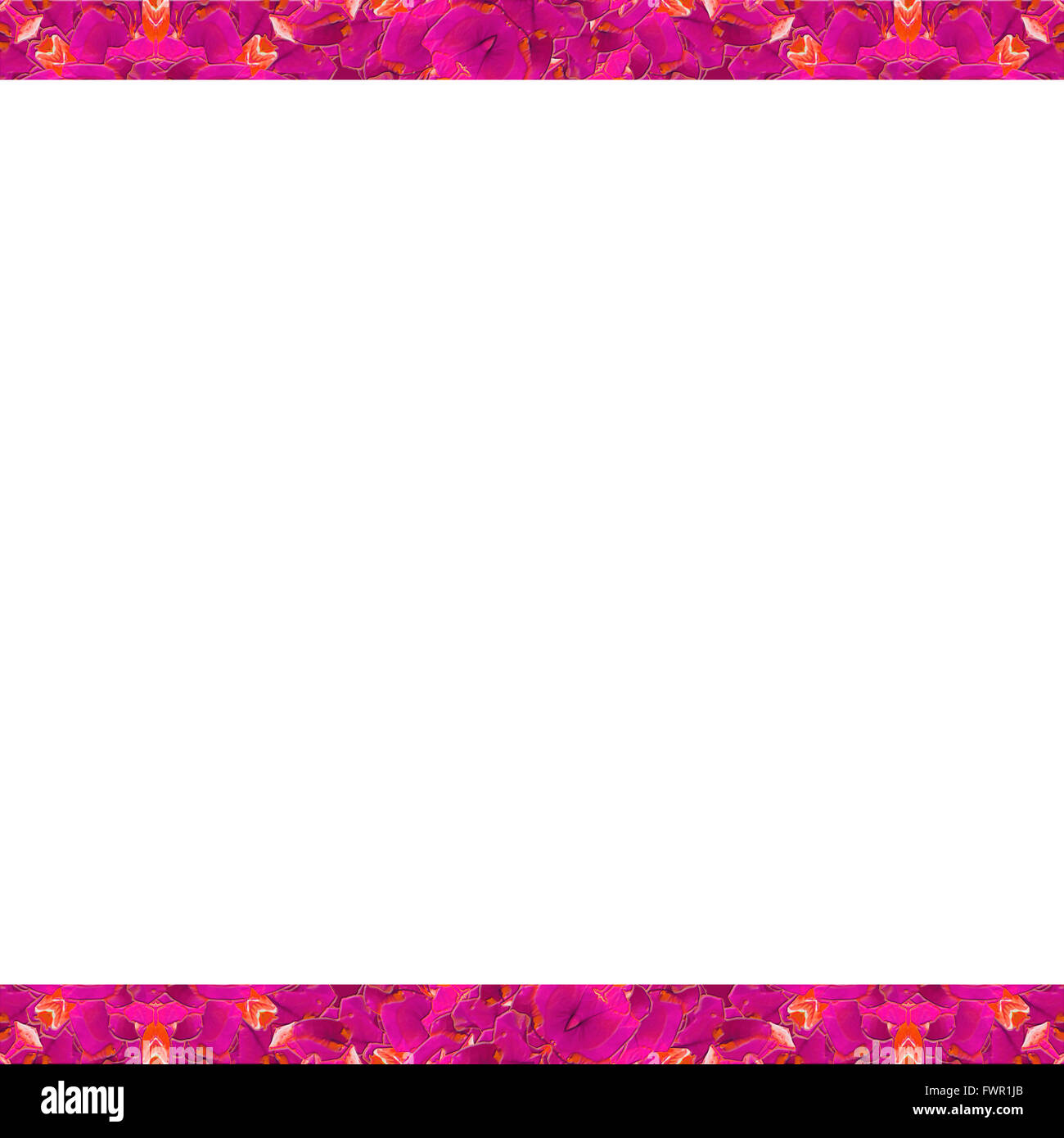 Avec cadre blanc floral stylisé transparent géométrique pattern design, dans des tons rose et orange border Banque D'Images