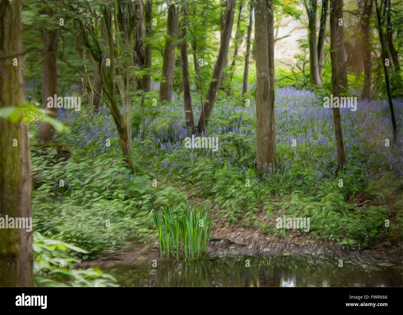 Image style de peinture de bluebell wood au printemps,avec étang et arbres,et les rayons de lumière Banque D'Images