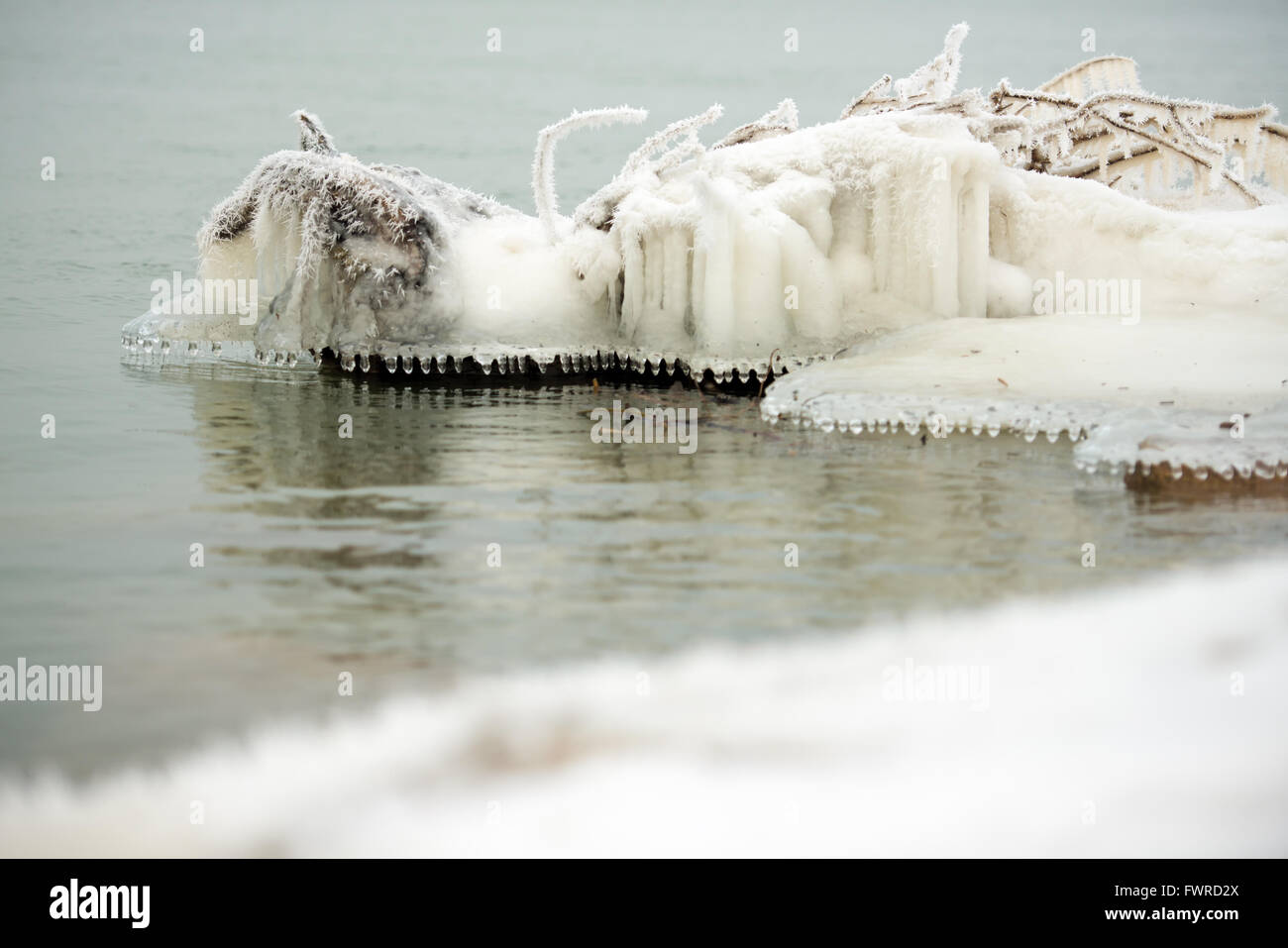 Les branches d'arbres gelés dans l'eau Banque D'Images