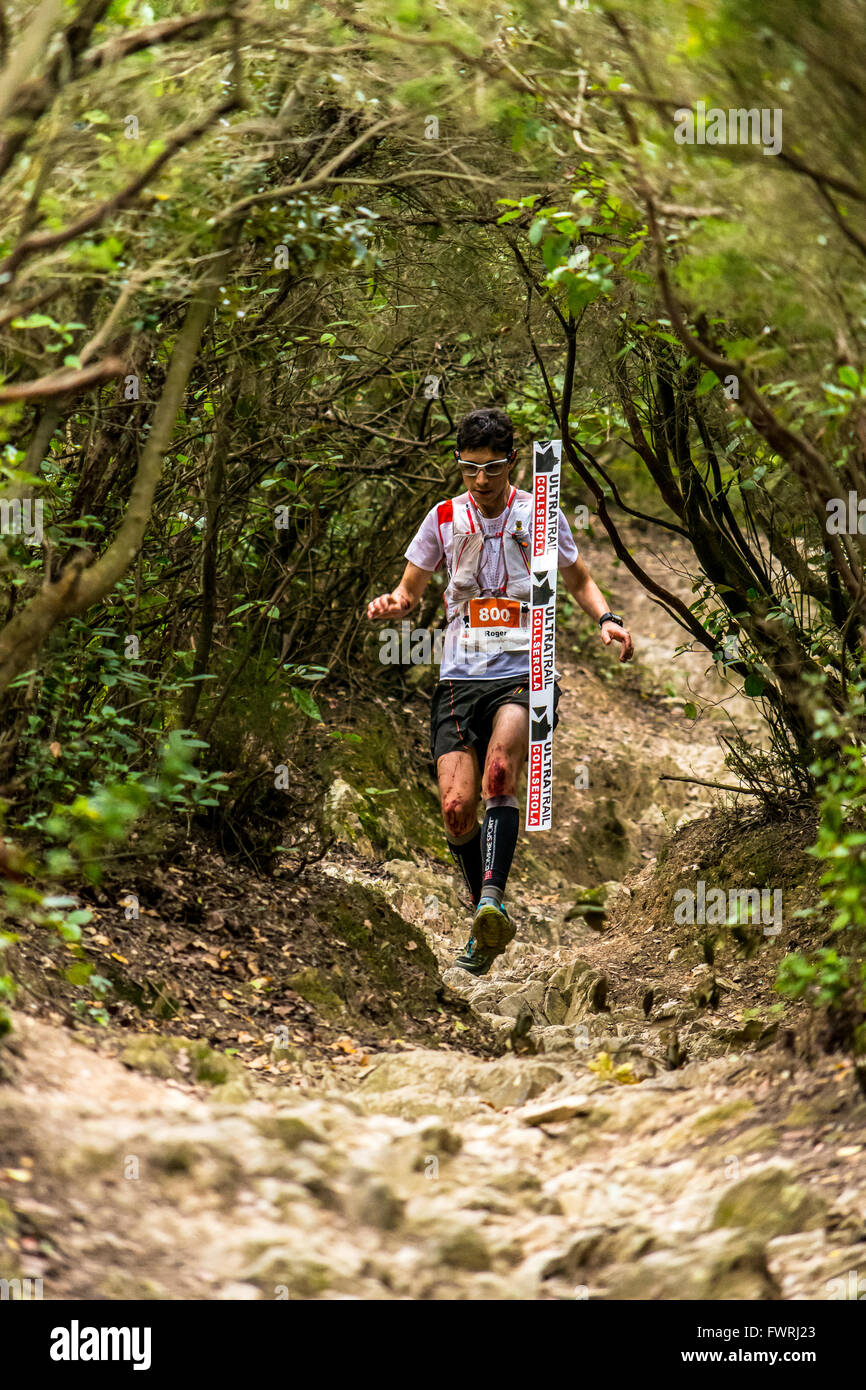 Glissières de descendre un tunnel d'arbres pendant la compresser à Barcelone Collserola Ultratrail Sport en 2015. Banque D'Images