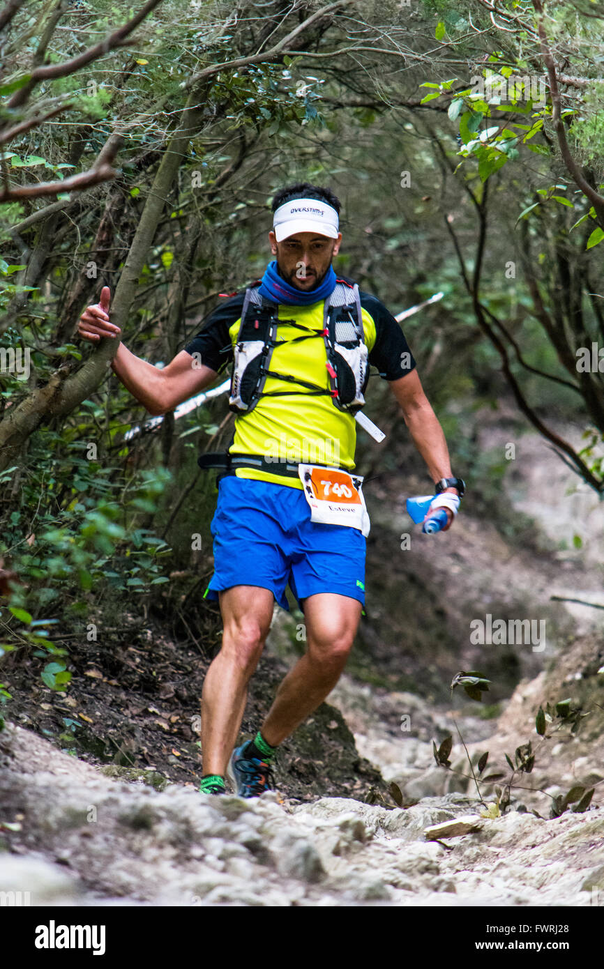 Glissières de descendre un tunnel d'arbres pendant la compresser à Barcelone Collserola Ultratrail Sport en 2015. Banque D'Images