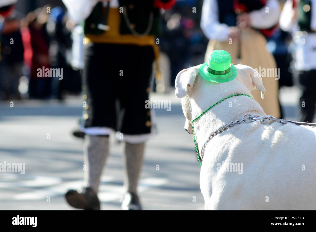 Saint Patrick's Day Parade à Sunnyside, Queens dispose d''atmosphère : où : New York, New York, United States Quand : 06 Mars 2016 Banque D'Images