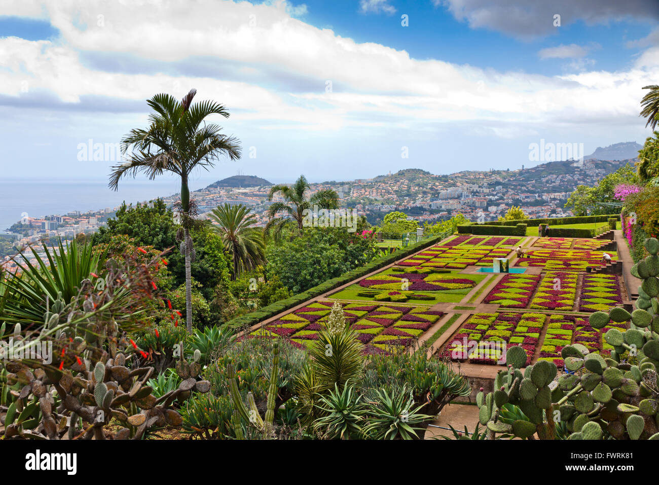 Jardin Botanique Tropical dans la ville de Funchal, île de Madère, Portugal Banque D'Images