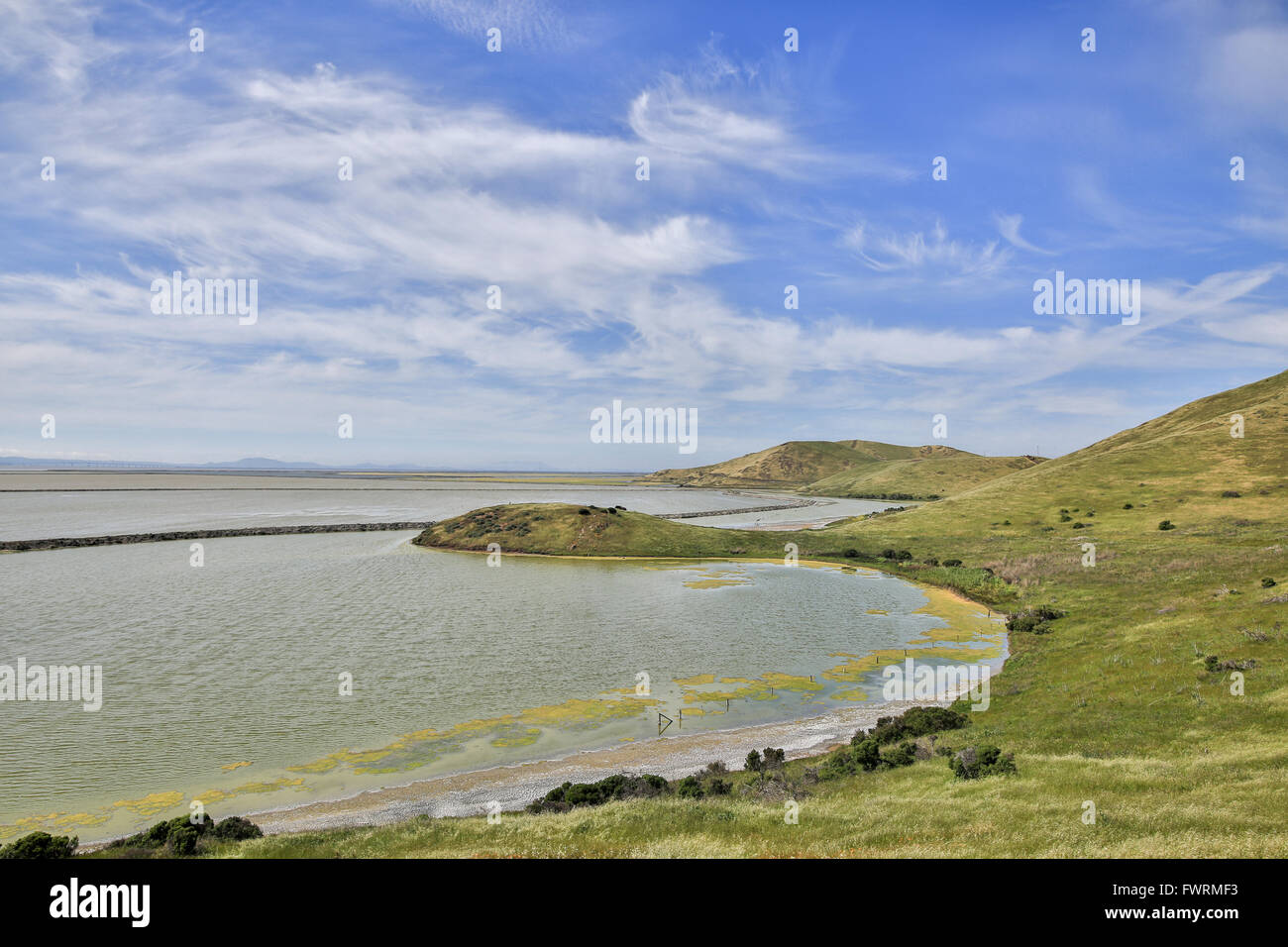 La fin de l'après-midi vue à Parc Régional Coyote Hills Banque D'Images