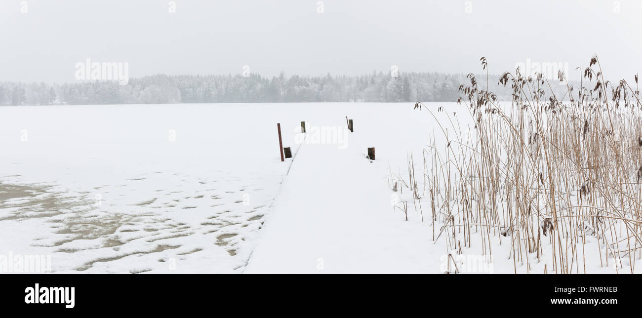 Blizzard paysage d'hiver au lac gelé Banque D'Images