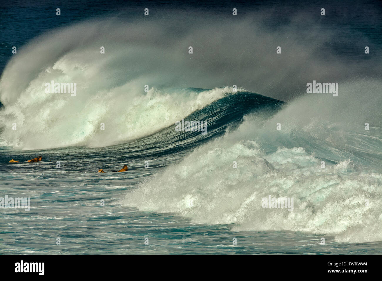 Surfers paddling out à d'énormes vagues de tempête au large de Maui Banque D'Images