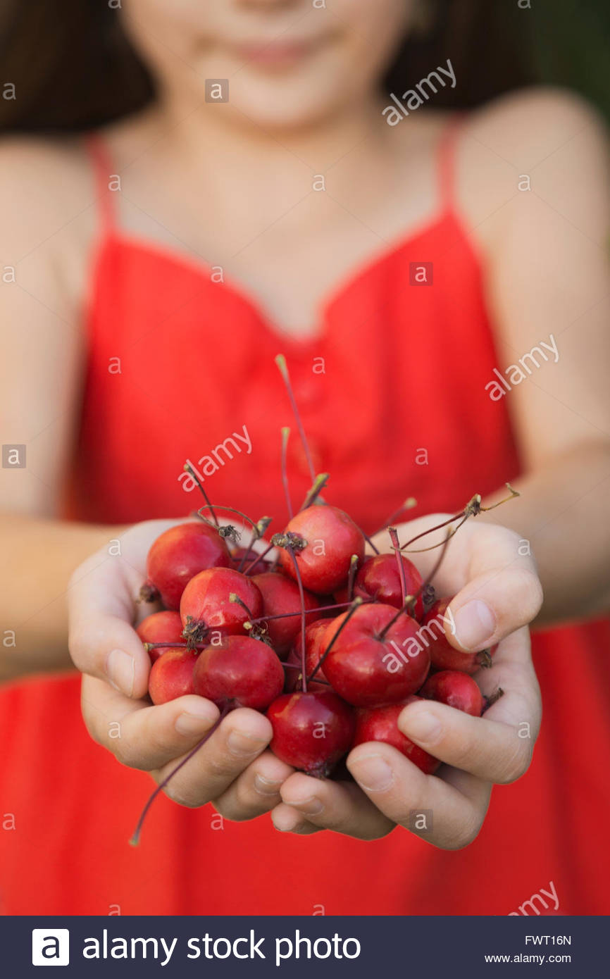 Girl holding crabe frais pommes en creux des mains Banque D'Images