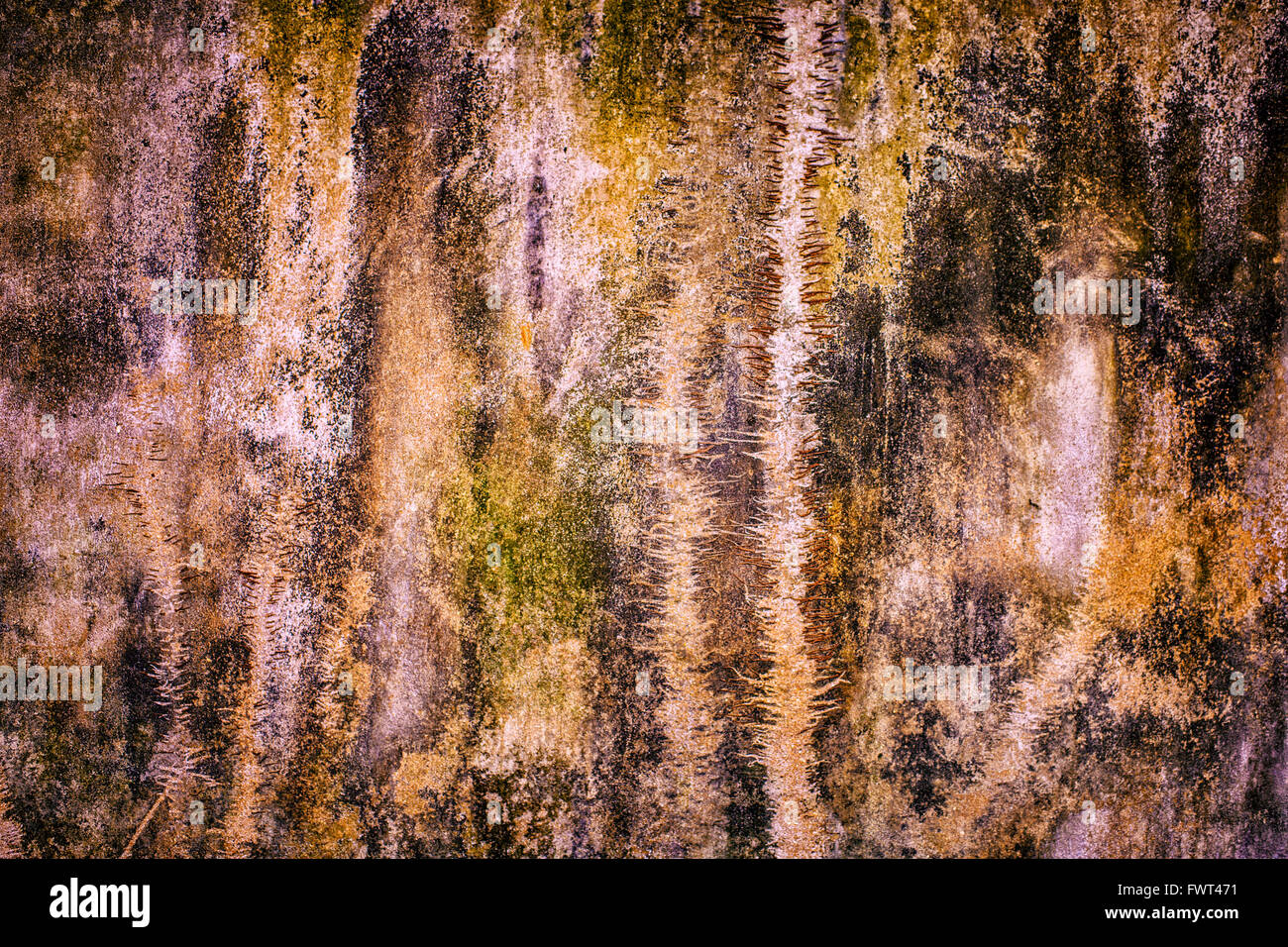 La texture du mur de ciment peint sale close-up Banque D'Images