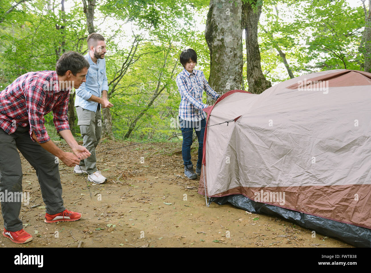 Multi-ethnic group of friends mettre une tente dans un camp site Banque D'Images