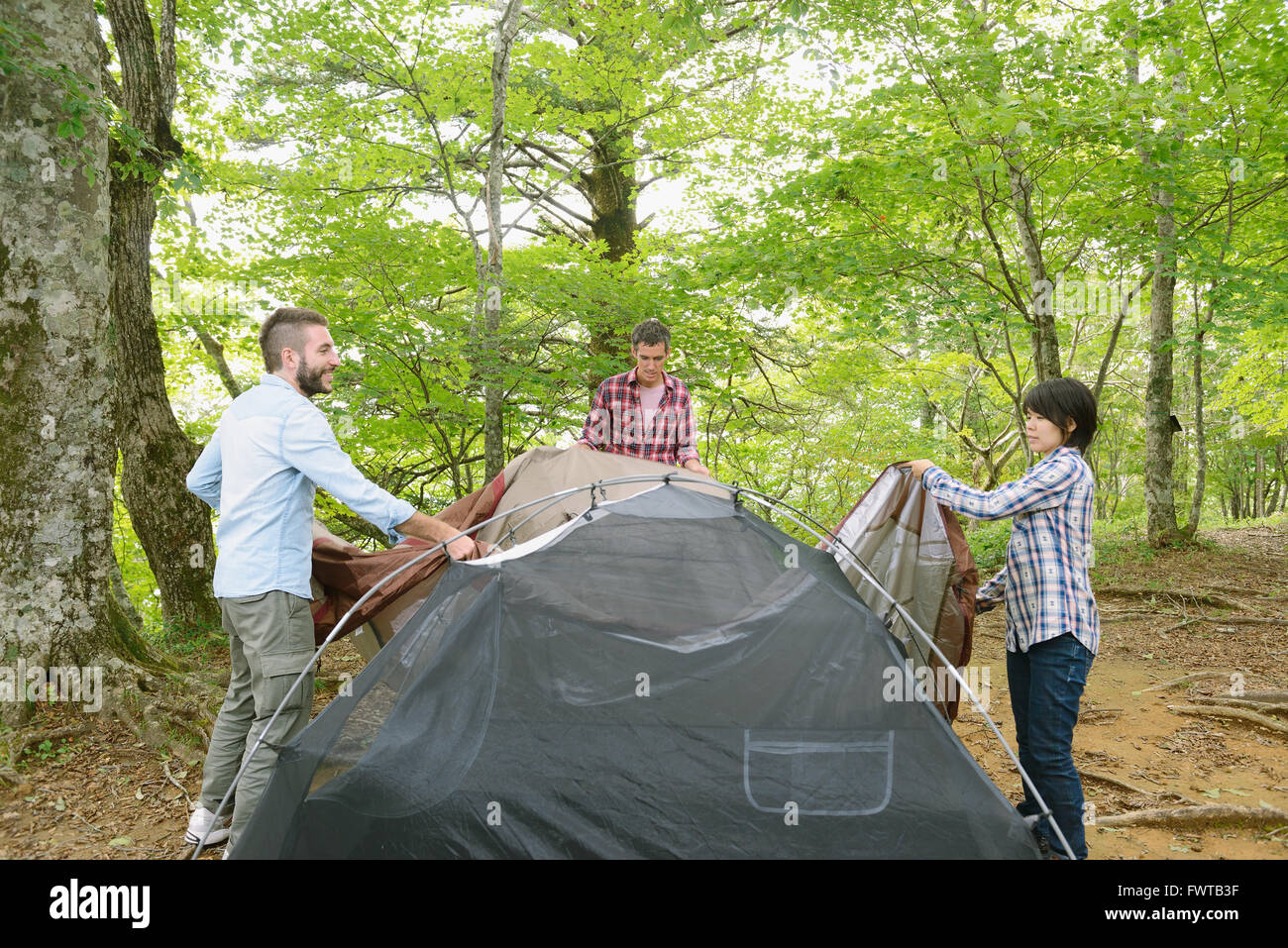 Multi-ethnic group of friends mettre une tente dans un camp site Banque D'Images