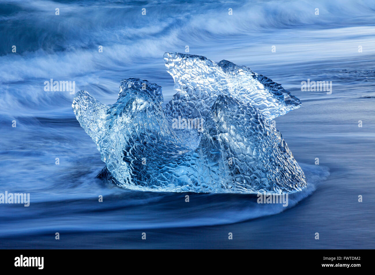 Bloc de glace fondante lavés sur plage le long de la côte de l'océan Atlantique à Breidamerkursandur black sands en hiver, l'Islande Banque D'Images