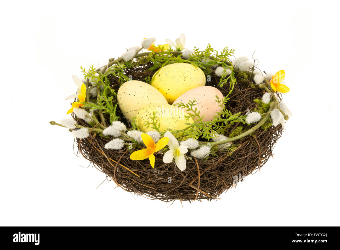 Un nid de Pâques contenant quatre oeufs colorés - Fond blanc Banque D'Images