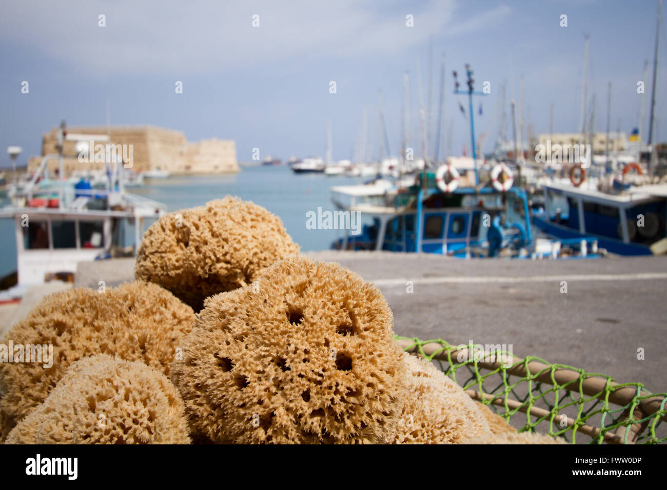 Les éponges naturelles fraîchement pêché dans un panier à la côte grecque Banque D'Images