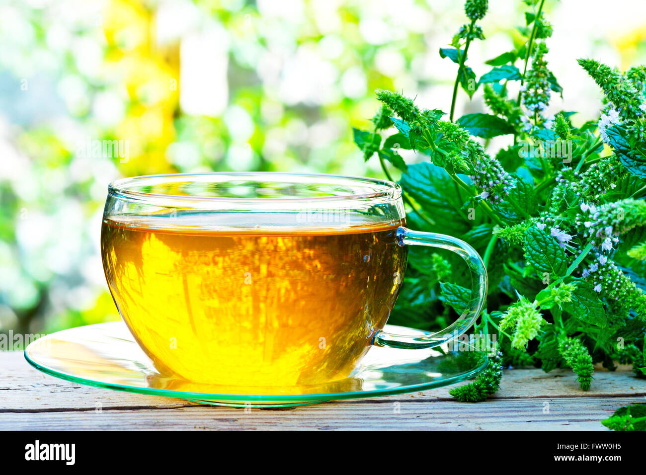 Verre de thé de menthe poivrée Menthe poivrée avec des plantes sur la table Banque D'Images