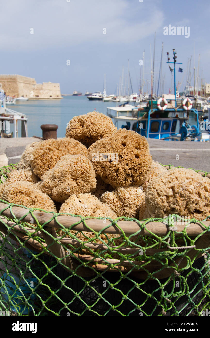 Les éponges naturelles fraîchement pêché dans un panier à la côte grecque Banque D'Images