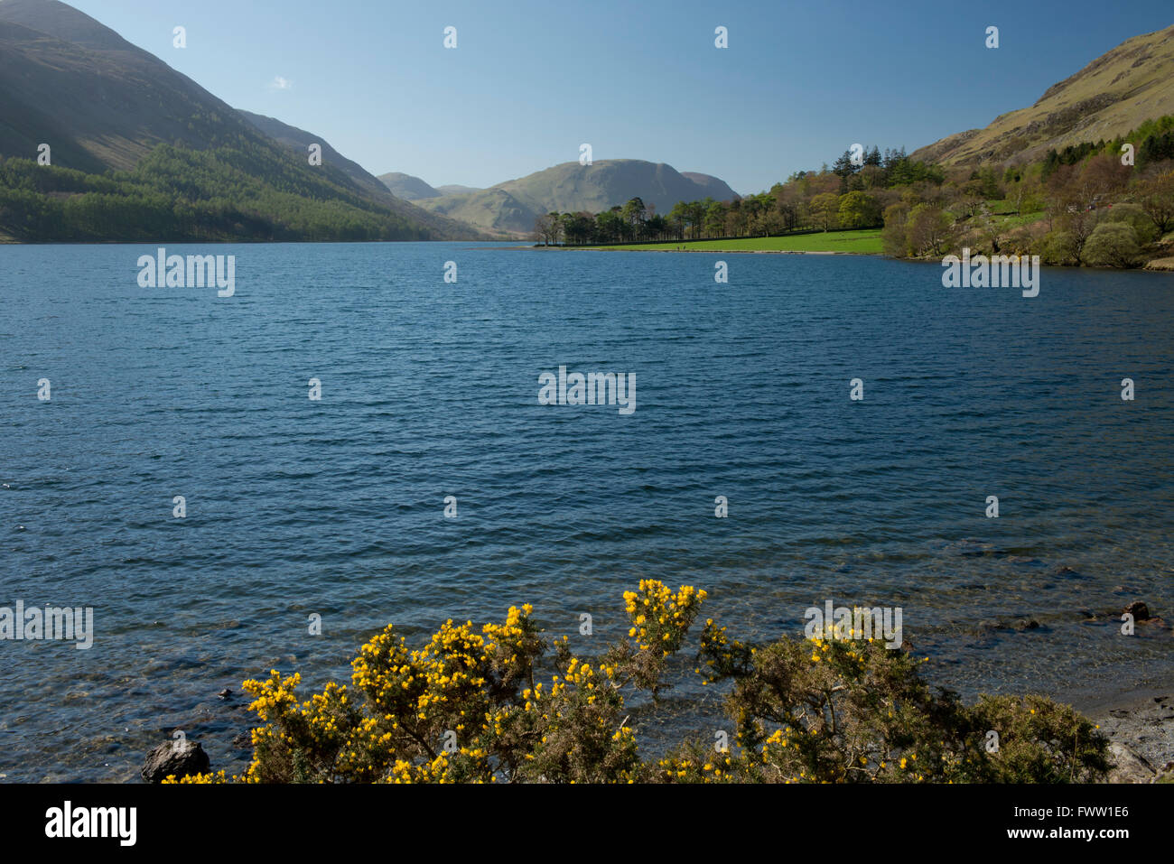 Une vue sur la lande dans le Parc National du Lake District, Cumbria, Royaume-Uni Banque D'Images