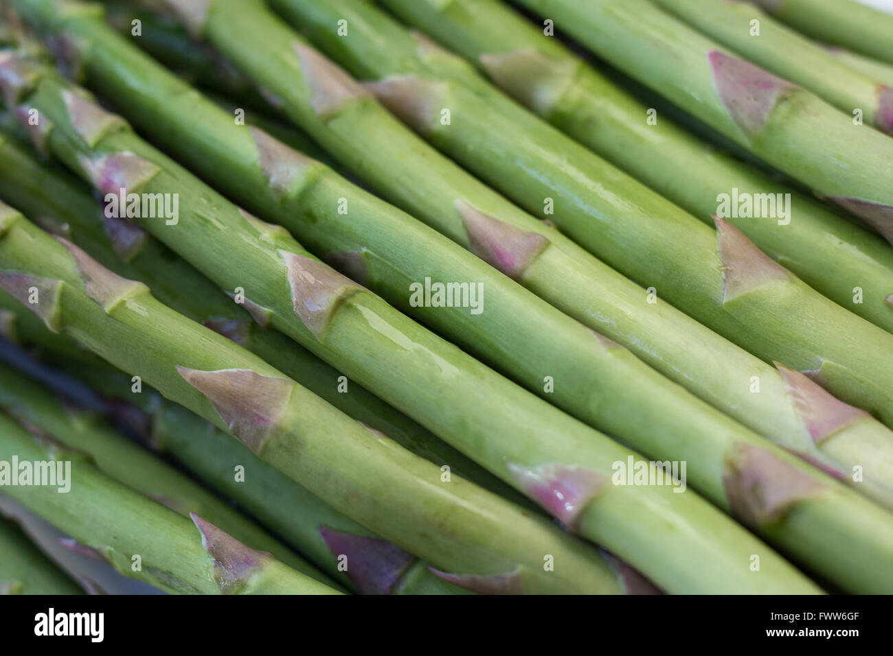 Les asperges vertes fraîches crues - macro closeup alimentaire Banque D'Images