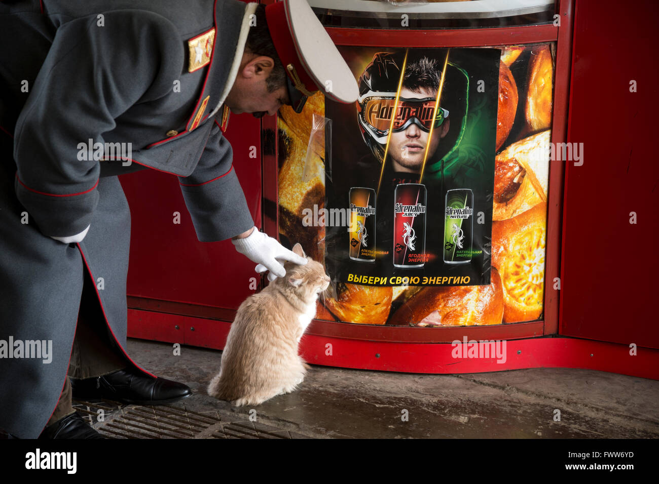 Un Artiste De Rue Compose Et Habille Comme Dictateur Sovietique Joseph Staline De Caresser Un Chat Dans Le Centre De Moscou Russie Photo Stock Alamy
