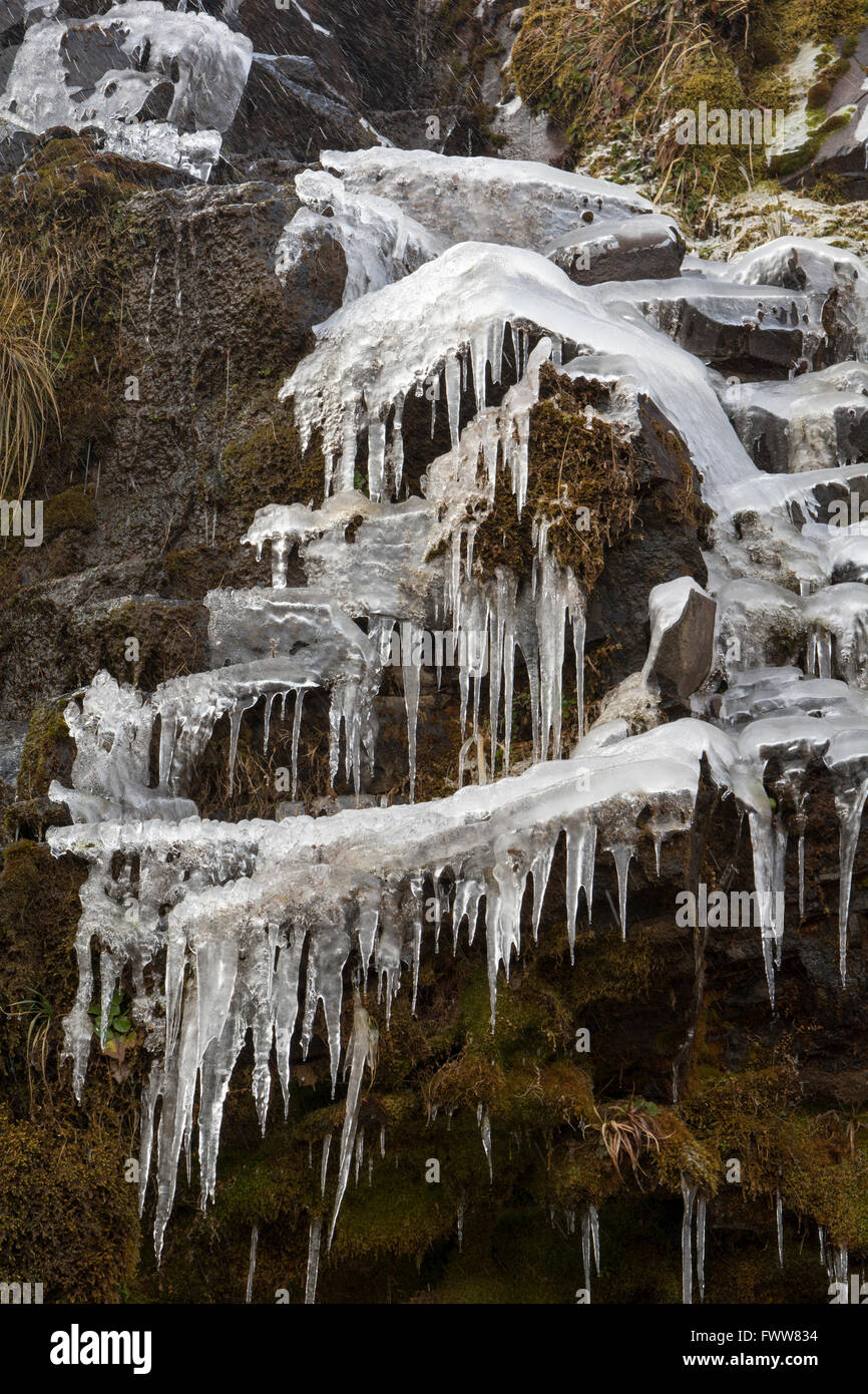 Après un printemps froid nuit beaucoup de l'eau de Soda Springs dans le Parc National de Tongariro est encore gelé à structures bizarres. Banque D'Images