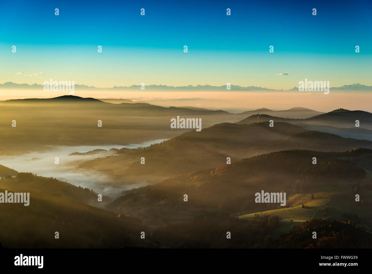 Vue depuis le Belchen sud sur l'Wiesental valley et les Alpes suisses, l'atmosphère du matin avec brouillard, Forêt Noire Banque D'Images