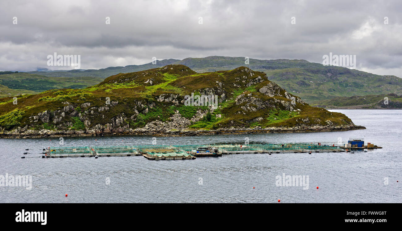 Dans l'élevage du saumon de la baie à la côte écossaise, comté de Sutherland, Ecosse, Royaume-Uni Banque D'Images