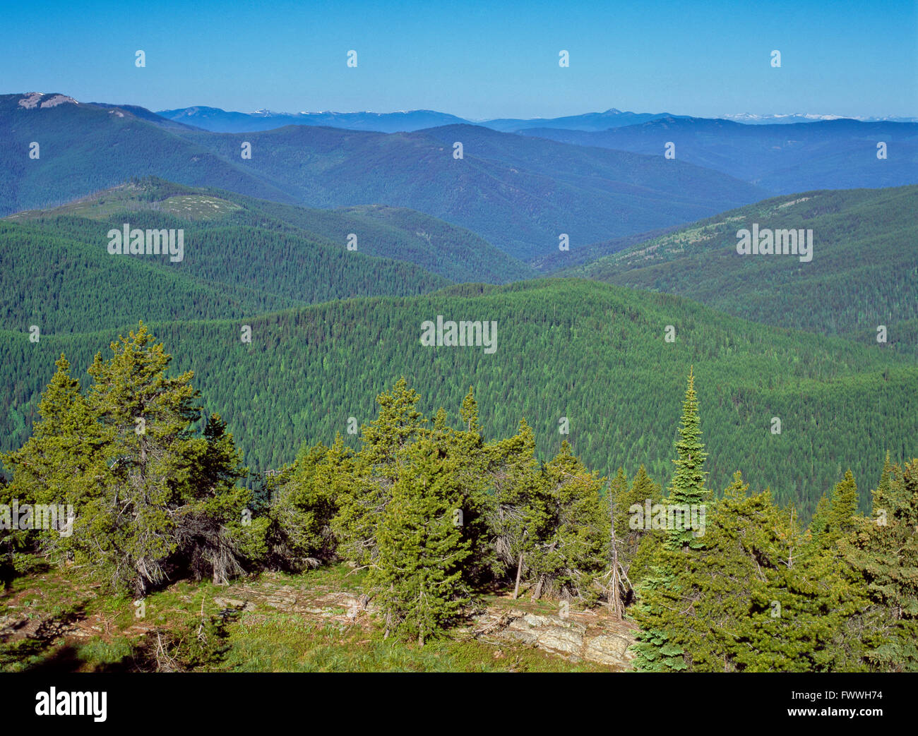 Seventeenmile percell montagnes au-dessus de la vallée du ruisseau de flatiron vue montagne près de yaak, Montana Banque D'Images