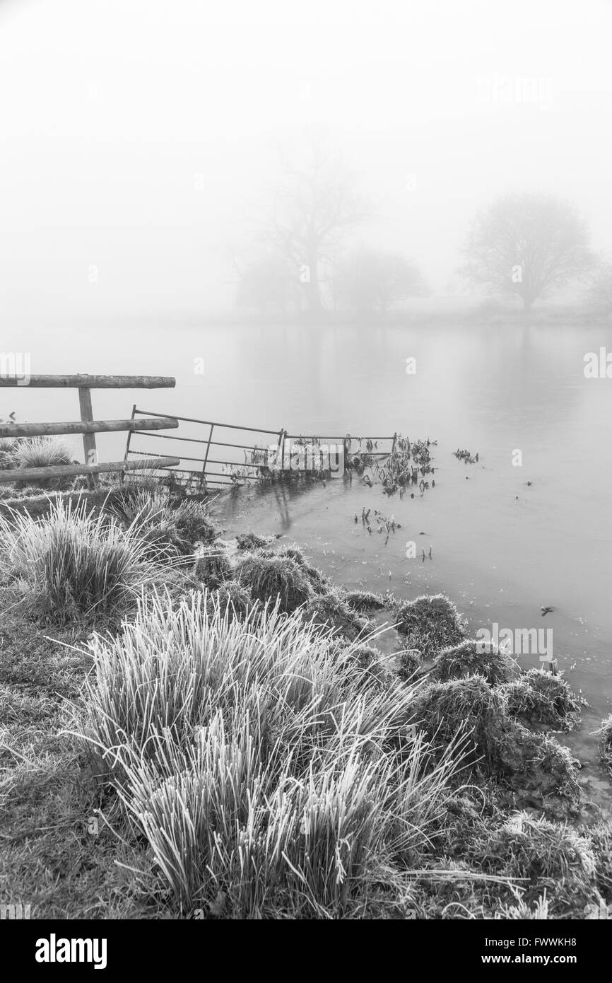 Frosty jour brumeux sur le côté d'un lac en monochrome, England, UK Banque D'Images
