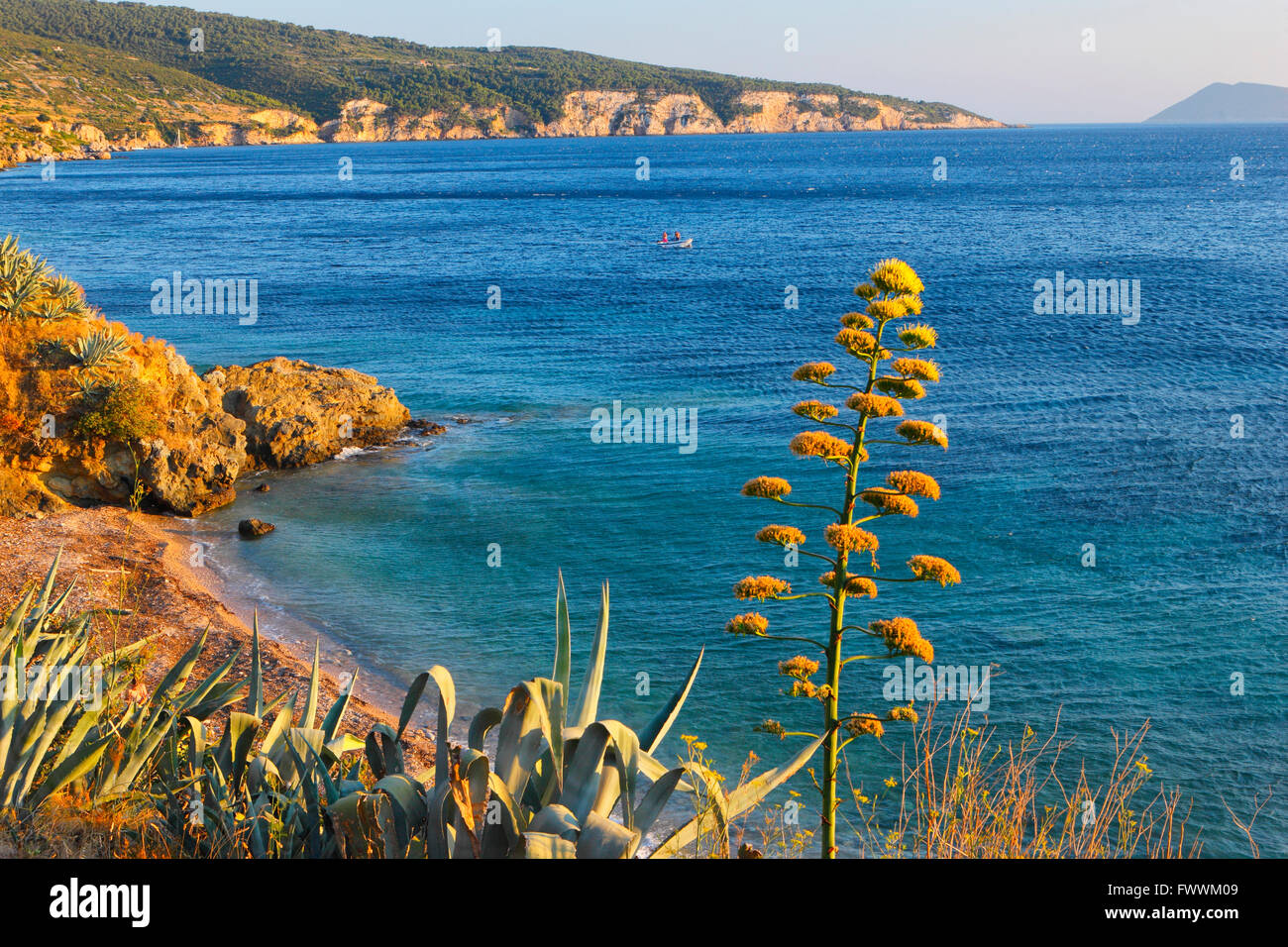 Paysage de la côte rocheuse de l'île de Vis en Croatie Banque D'Images