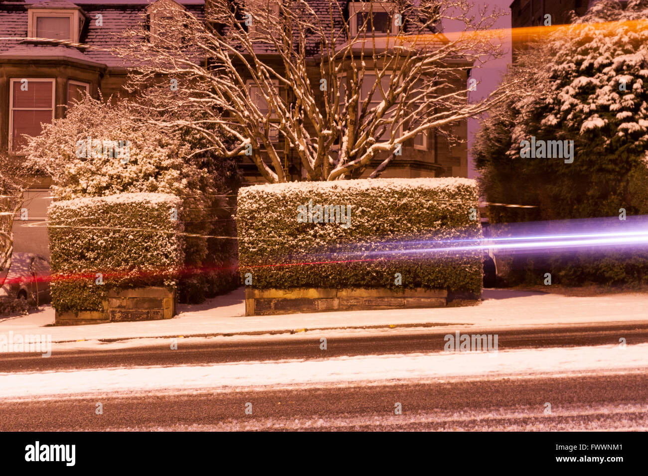 La couverture de neige sur le jardin à Édimbourg. Photos par Pako Mera Banque D'Images