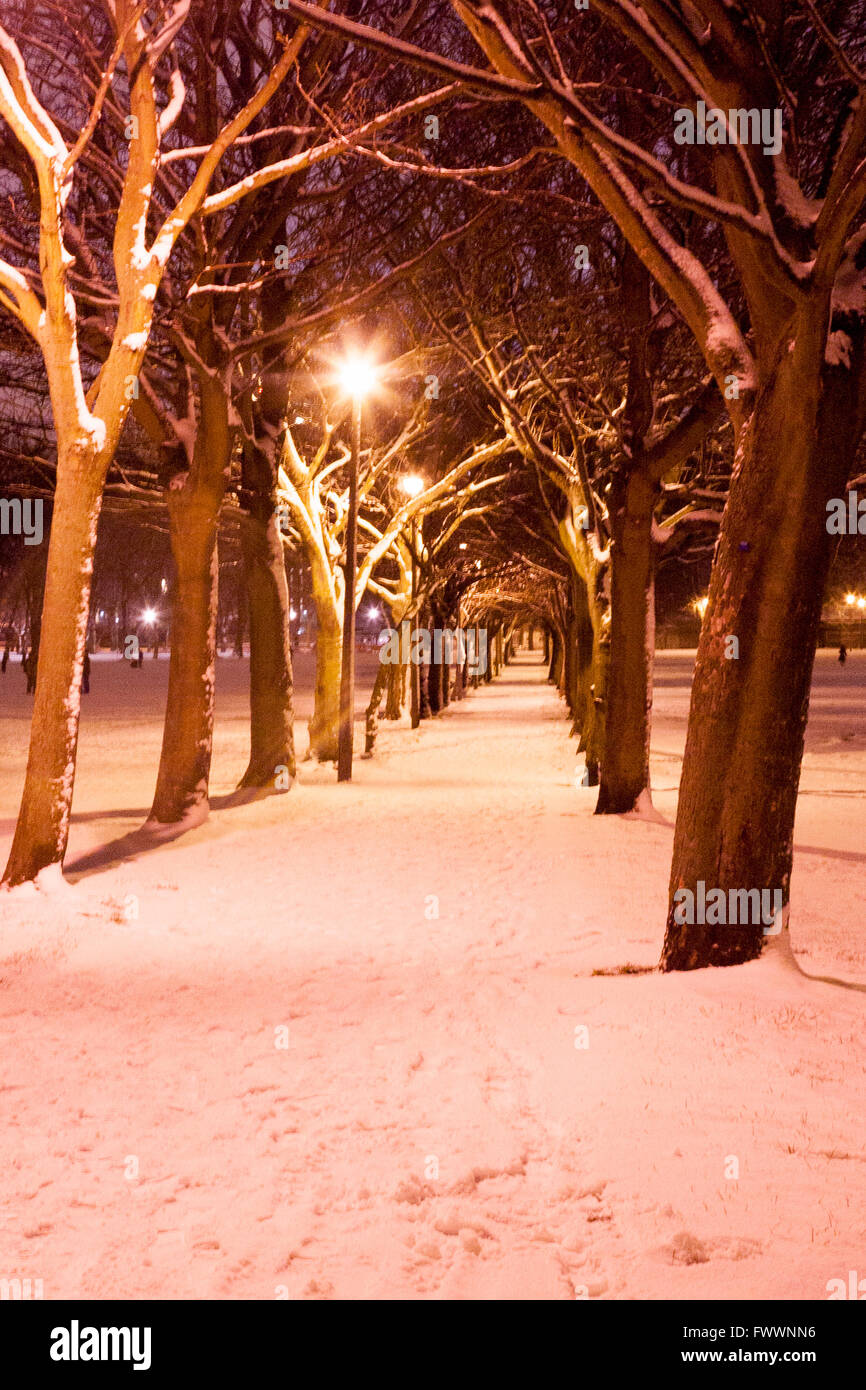 Un chemin à Édimbourg Meadow Park couvert de neige. Photos par Pako Mera Banque D'Images