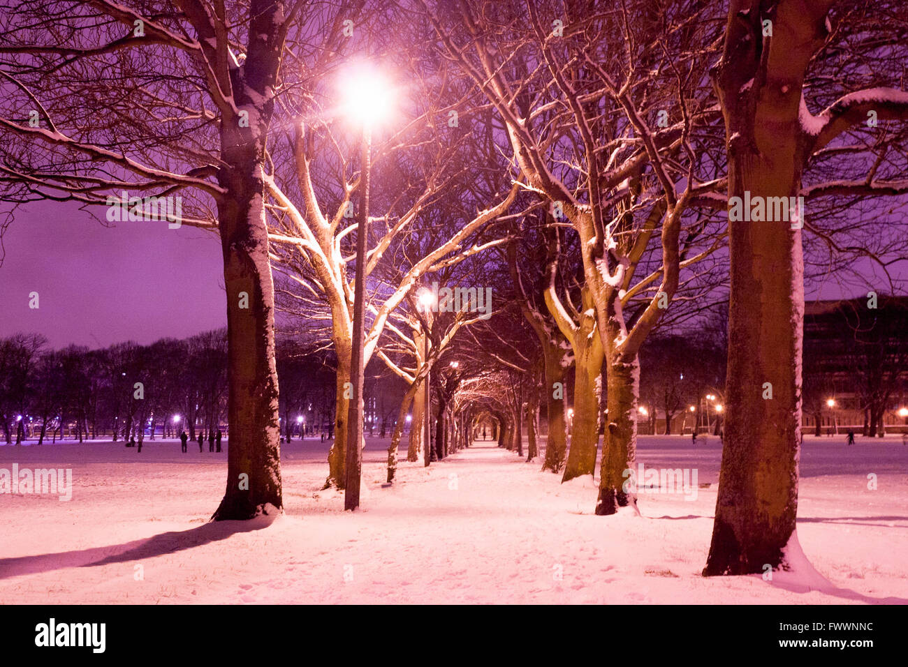 Un chemin à Édimbourg Meadow Park couvert de neige. Photos par Pako Mera Banque D'Images