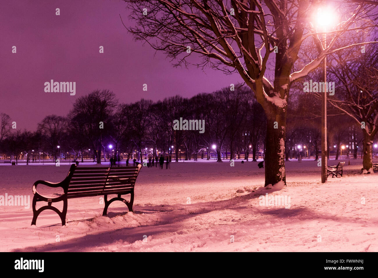 Un banc de neige couverts à Edimbourg Meadows Photos par Pako Mera Banque D'Images