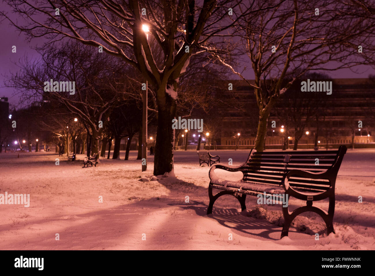 Un banc de neige couverts à Edimbourg Meadows. Photos par Pako Mera Banque D'Images