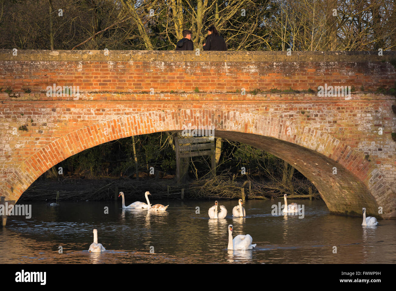 Pont de la rivière de campagne d'Angleterre, vue sur le pont de l'autre côté de la rivière Avon reliant les jardins de Bancroft au terrain de loisirs de Stratford Upon Avon, au Royaume-Uni Banque D'Images