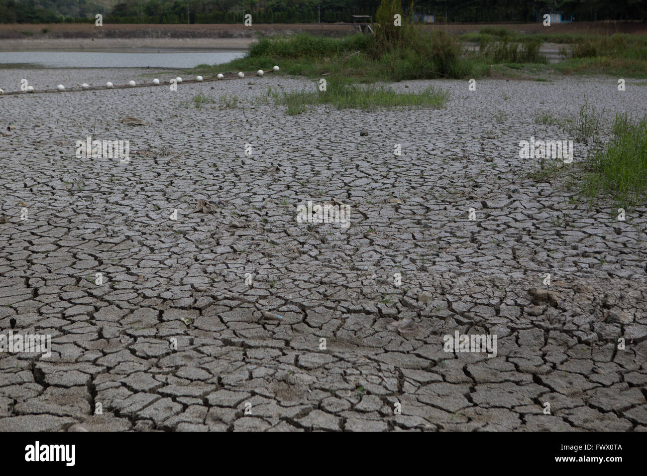 Cebu Philippines,. 8 avril, 2016. Des conditions extrêmement sèches causées par El Niño dans les Philippines ont un effet dramatique sur l'approvisionnement en eau.Un "état de calamité" a été déclarée le 8 avril 2016 par le maire de la ville de Cebu Michael Rama en raison de l'approvisionnement en eau de surface très faible. © gallerie2/Alamy Live News Banque D'Images