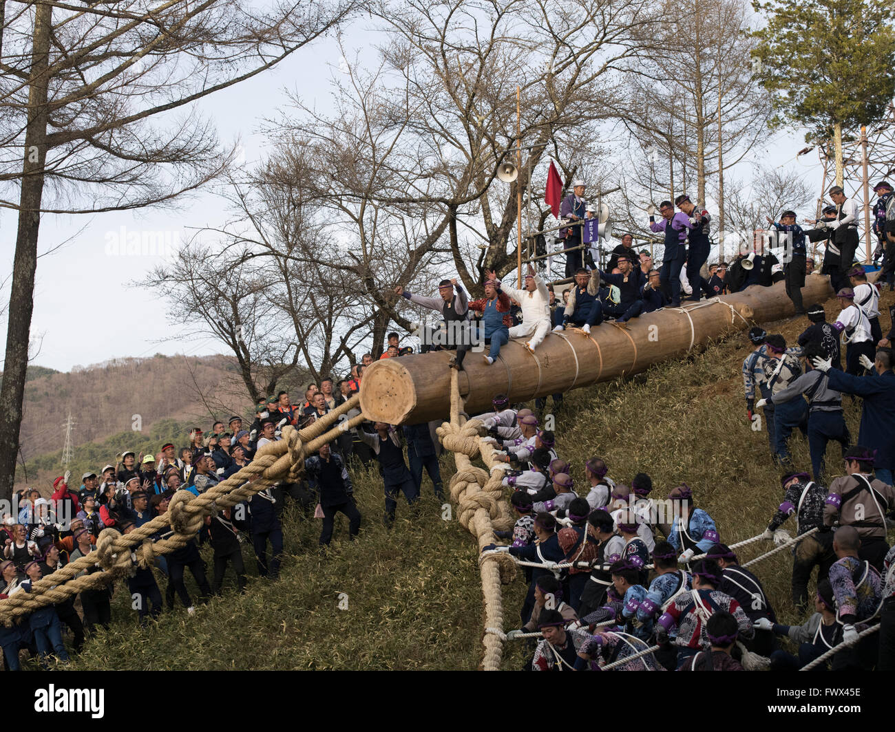 Onbashira Festival à Suwa, Nagano Prefecture, Japan. Le 08 avril 2016 Les hommes risquent leur vie pour monter sur le tronc des arbres sur une colline escarpée. Le tronc des arbres deviendra piliers du sanctuaire local. Le festival a lieu tous les 7 ans, et il est dit à plus de 1200 ans. Crédit : Chris Wilson/Alamy Live News Banque D'Images