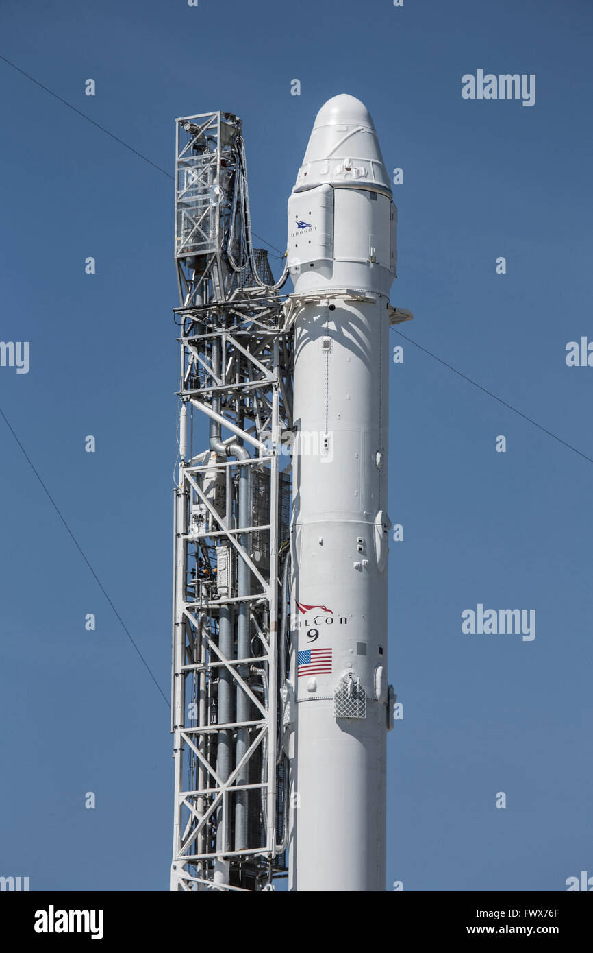 Le SpaceX Falcon 9 transportant la capsule Dragon mission fret prêt à déposer sur l'aire de lancement 40 au Centre spatial Kennedy le 8 avril 2016 à Cap Canaveral, en Floride. Le CRS-8 mission va faire un prototype de Bigelow Aerospace gonflables module appelé faisceau. Banque D'Images