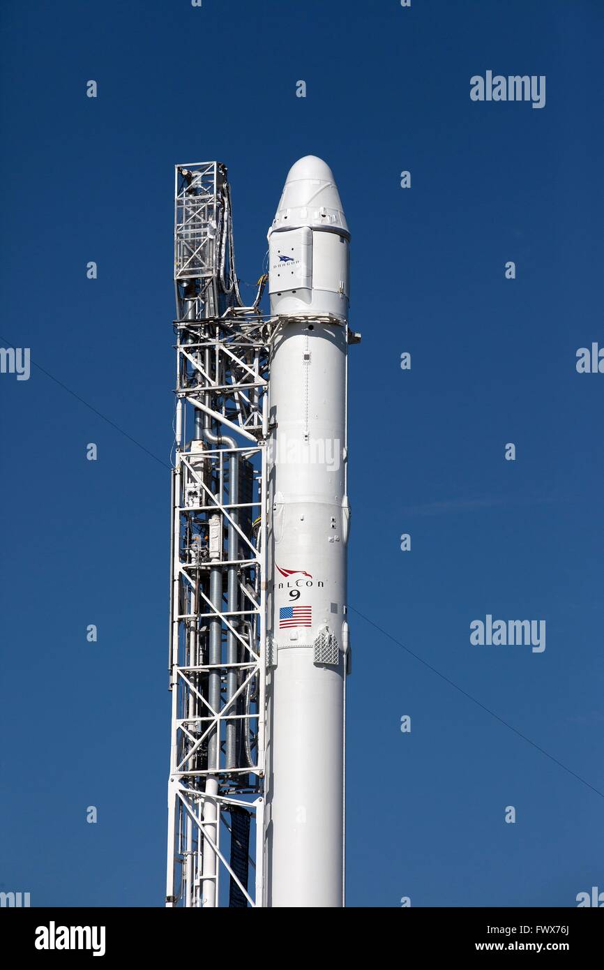 Le SpaceX Falcon 9 transportant la capsule Dragon mission fret prêt à déposer sur l'aire de lancement 40 au Centre spatial Kennedy le 8 avril 2016 à Cap Canaveral, en Floride. Le CRS-8 mission va faire un prototype de Bigelow Aerospace gonflables module appelé faisceau. Banque D'Images