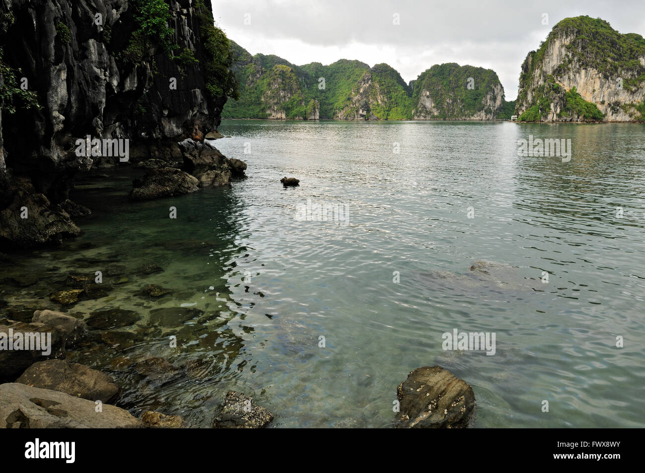 Wild Cove dans la zone Bai Tu Long de la baie de Ha Long, Province de Quang Ninh, Vietnam Banque D'Images