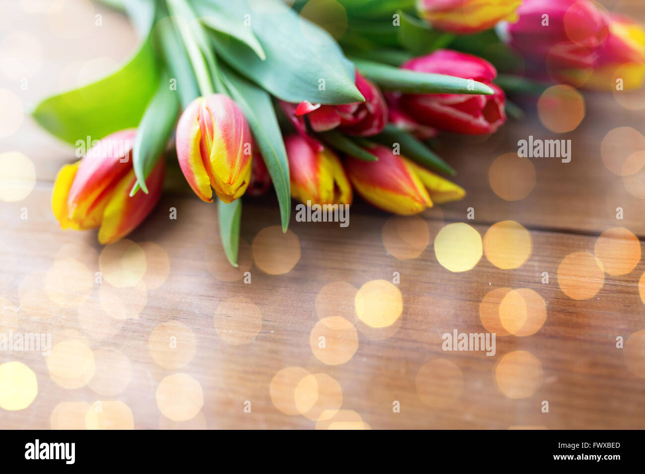 Close up of tulip flowers on wooden table Banque D'Images