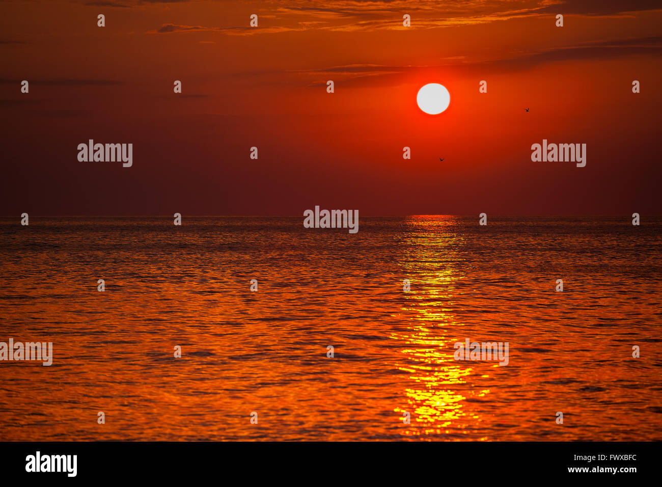 Coucher de soleil rouge sur l'eau. Les rayons du soleil qui se reflète sur la surface de l'eau Banque D'Images