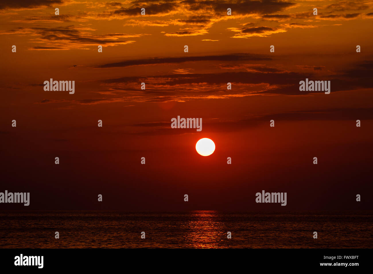 Coucher de soleil rouge sur l'eau. Les rayons du soleil qui se reflète sur la surface de l'eau Banque D'Images