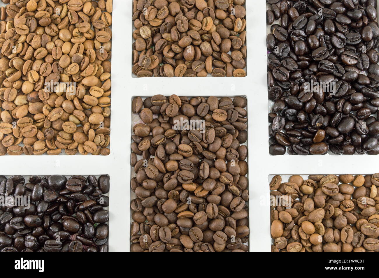 Différents types de grains de café en conteneur blanc shot télévision Banque D'Images