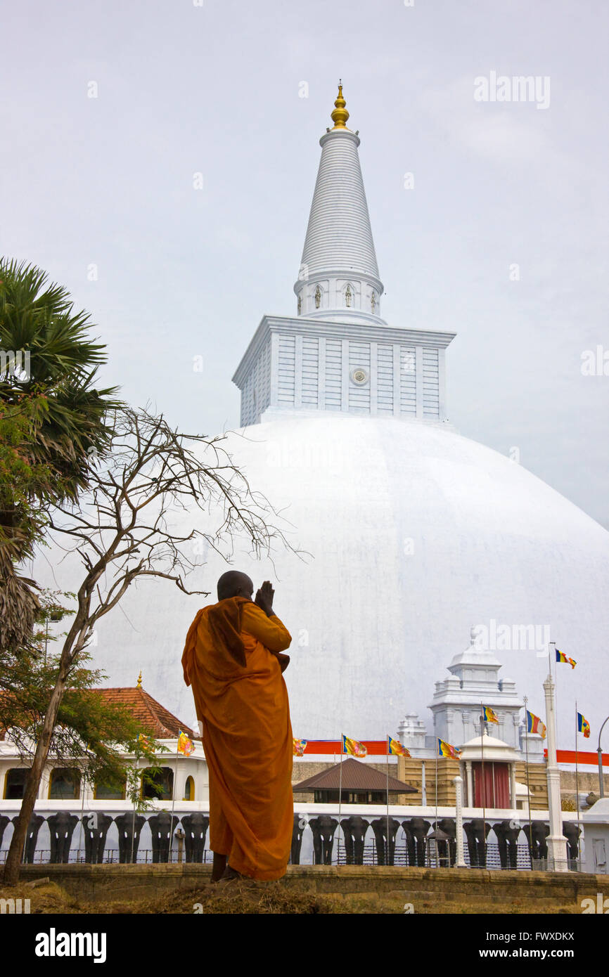 Un moine en prière à Ruwanwelisaya Dagoba, Anuradhapura (site du patrimoine mondial de l'UNESCO), Sri Lanka Banque D'Images