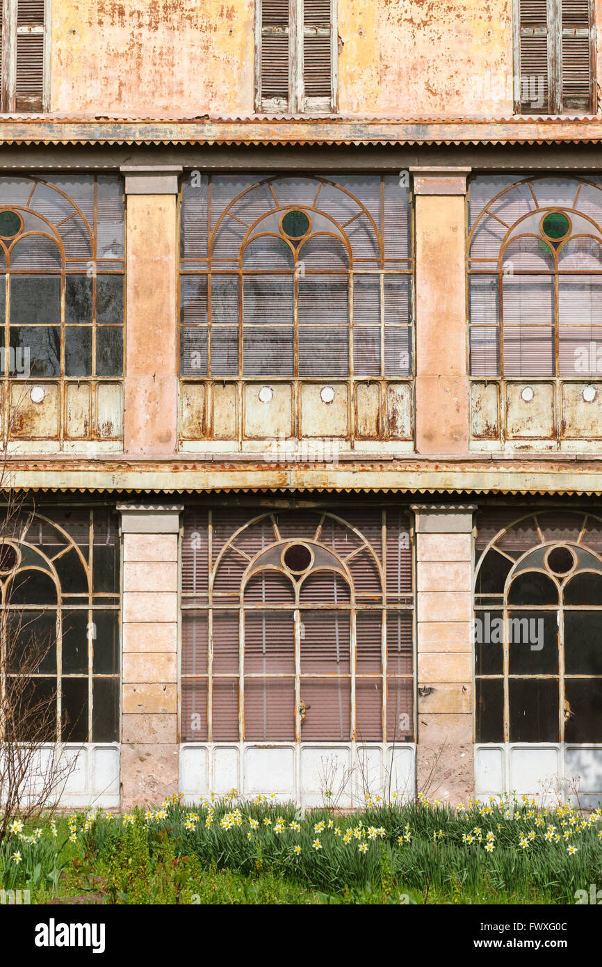 Détail de vitrage loggia à la Villa Ida, Treviglio, l'abandon d'une grande maison du 19ème siècle, avec les jonquilles. Banque D'Images