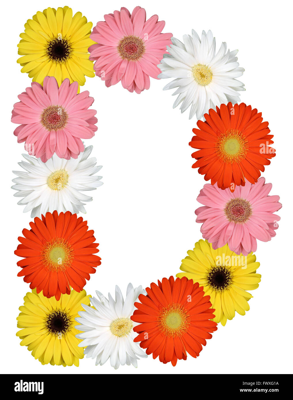 Lettre D Alphabet de fleurs isolé sur fond blanc Banque D'Images