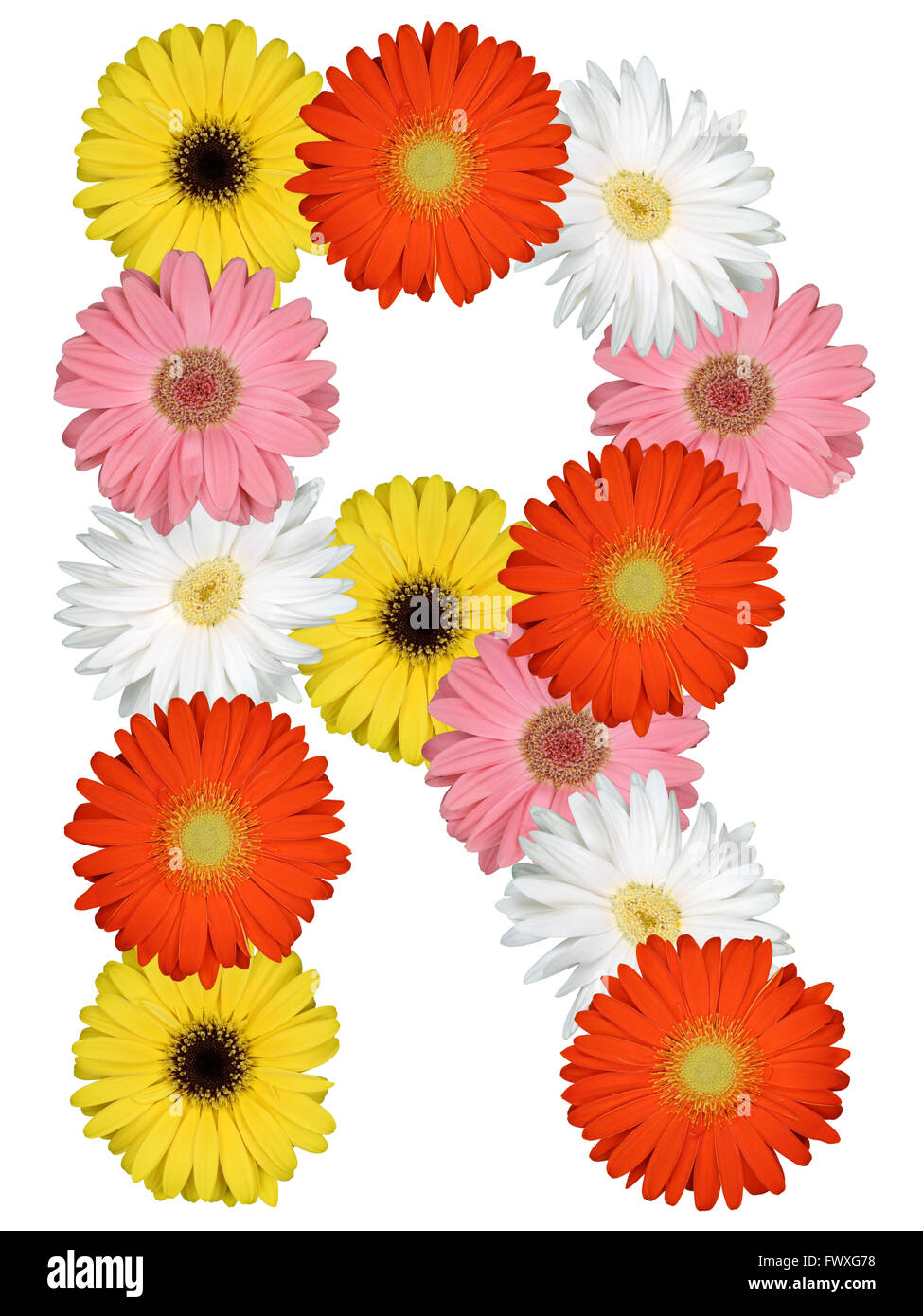 Lettre R Alphabet de fleurs isolé sur fond blanc Banque D'Images