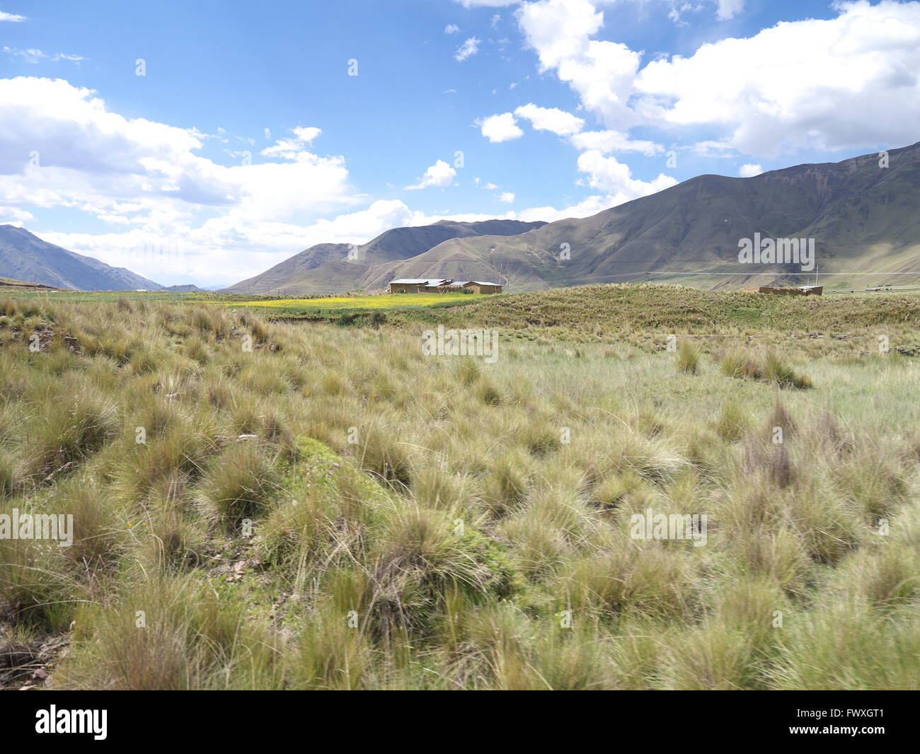 Paysage péruvien dans les hautes montagnes des Andes depuis le confort de la Communauté andine Explorer express train Cusco à Puno. Banque D'Images