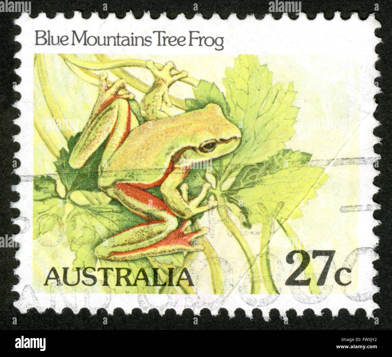 L'Australie, grenouille,poste,Animaux,, timbres Banque D'Images