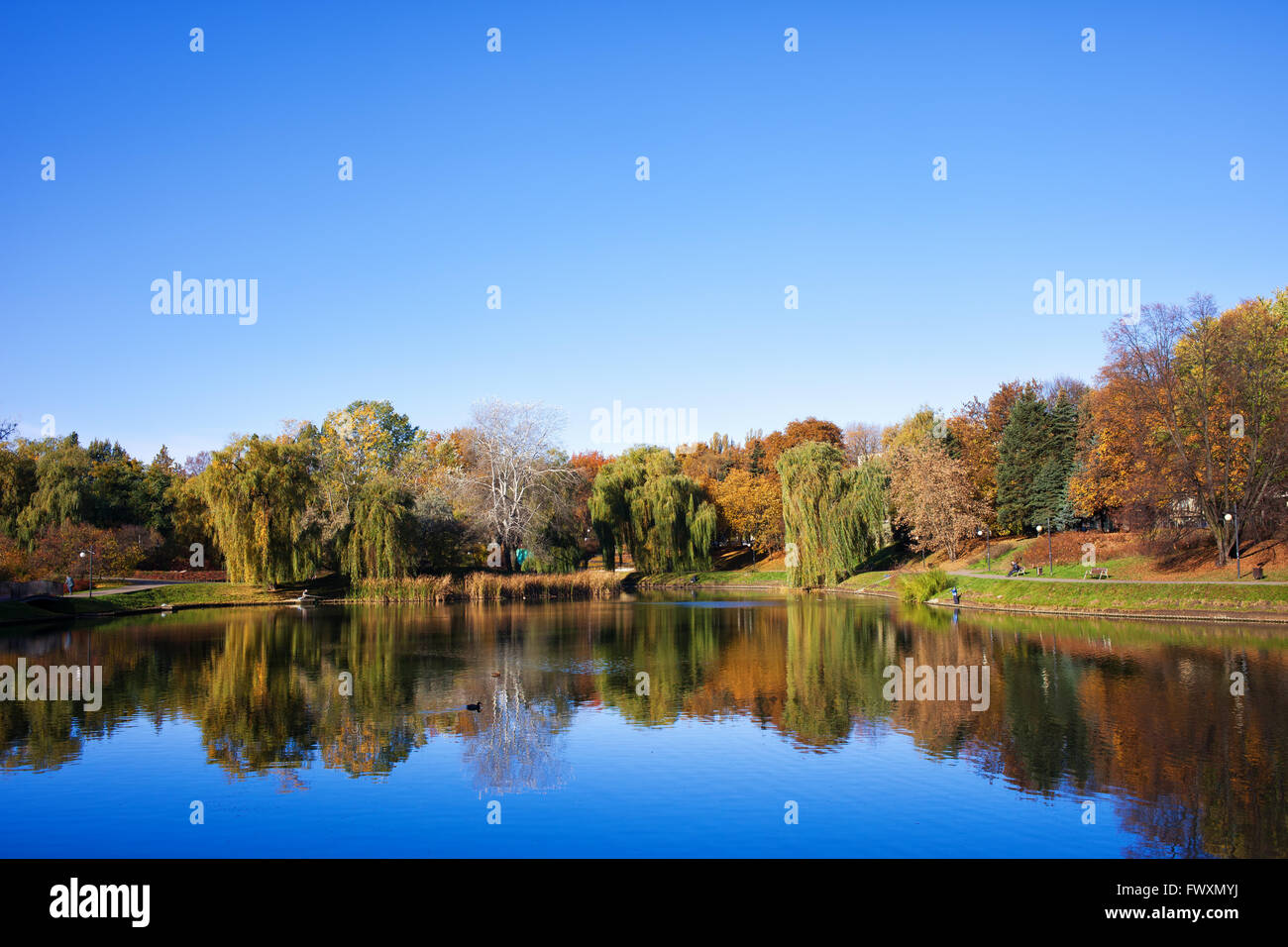 La Pologne, la ville de Varsovie, le lac en automne Parc Moczydlo Banque D'Images